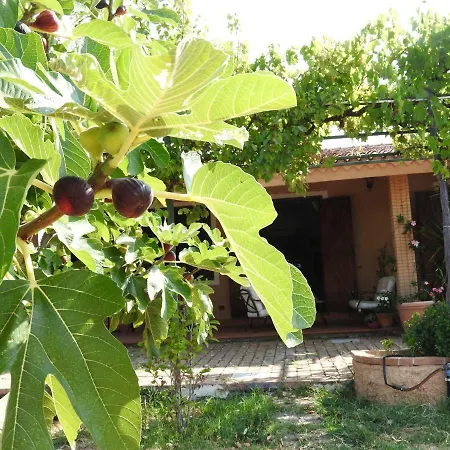 Panzió Il Casolare