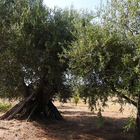 Il Casolare Panzió Scalea
